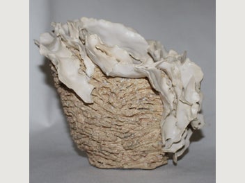 Image 1 of 19