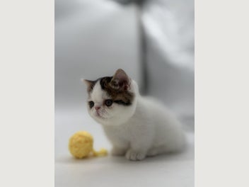 Image 1 of 20