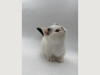 Image 1 of 20