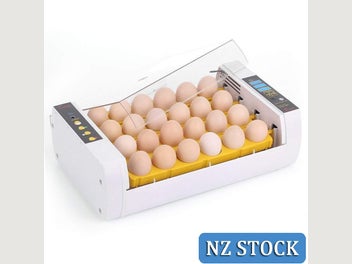Image 1 of 11