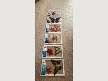 Image 1 of 10