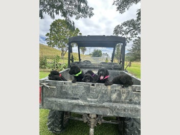 Image 1 of 8