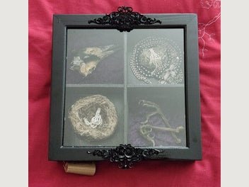 Image 1 of 7