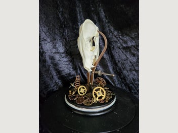 Image 1 of 6