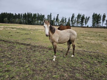 Image 1 of 14