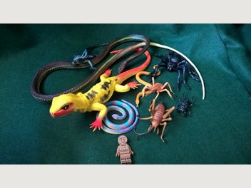 Image 1 of 8