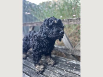 Image 1 of 8