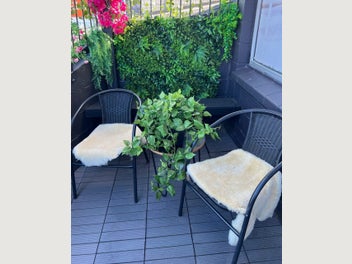 Image 1 of 14