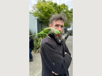 Image 1 of 1