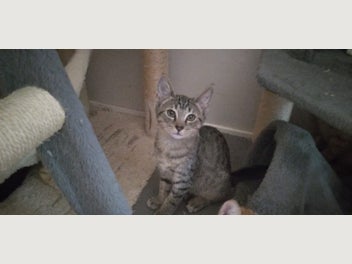 Image 1 of 11