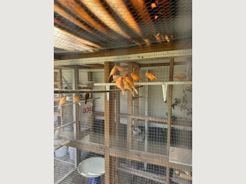 Image 1 of 7