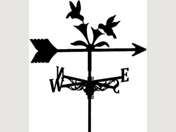 Image 1 of 7