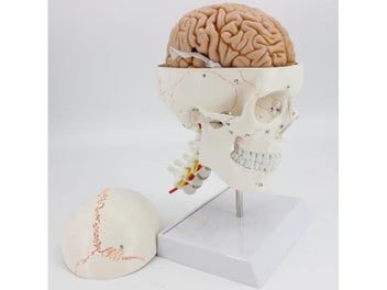 Image 1 of 8