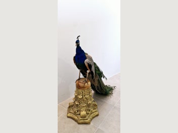 Image 1 of 10