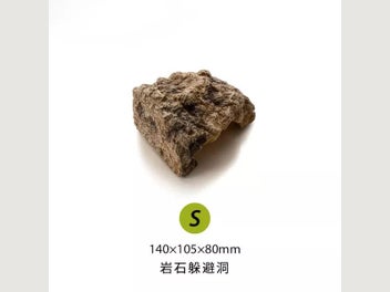 Image 1 of 10