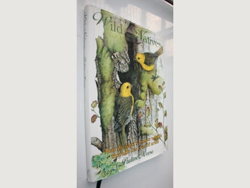 Image 1 of 13