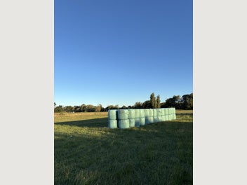 Image 1 of 8