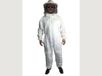 Image 1 of 7