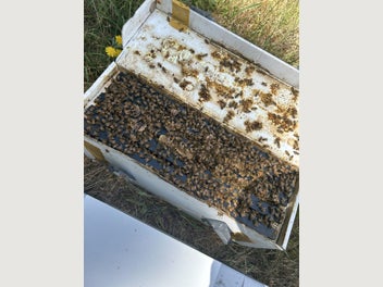Image 1 of 10