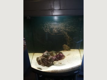 Image 1 of 11