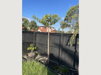 Image 1 of 7