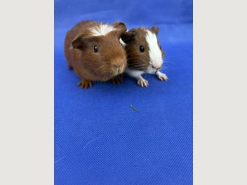Image 1 of 19