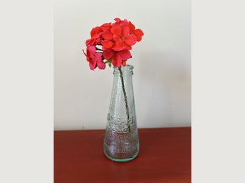 Image 1 of 9