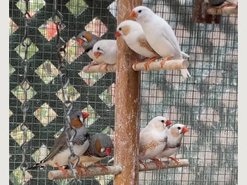 Image 1 of 7