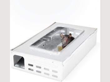 Image 1 of 10
