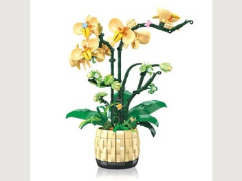 Image 1 of 3
