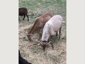 Image 1 of 8