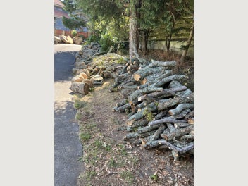 Image 1 of 11