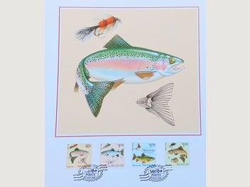 Image 1 of 8