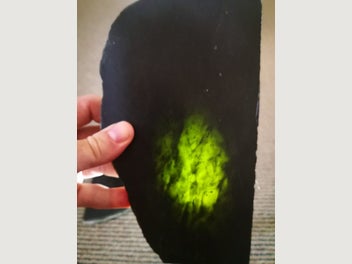 Image 1 of 14