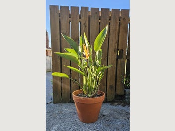 Image 1 of 7