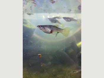 Image 1 of 3