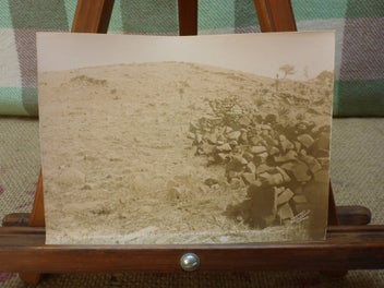 Image 1 of 9