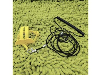Image 1 of 10