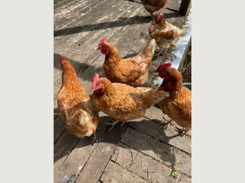 Image 1 of 12