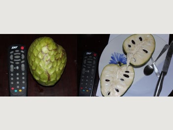 Image 1 of 2
