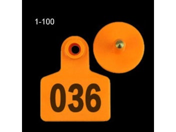 Image 1 of 10