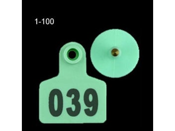 Image 1 of 10