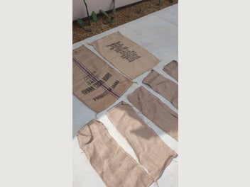 Image 1 of 16