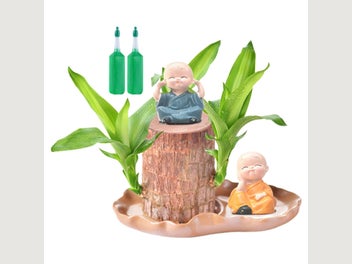 Image 1 of 13