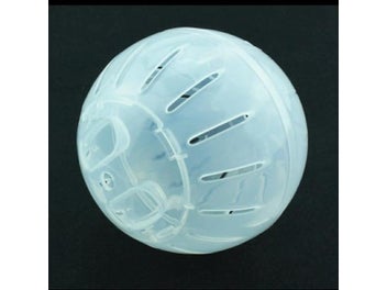 Image 1 of 10