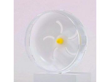 Image 1 of 10