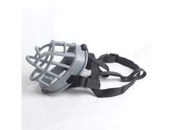 Image 1 of 10