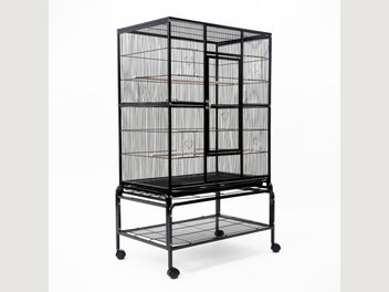 Image 1 of 12