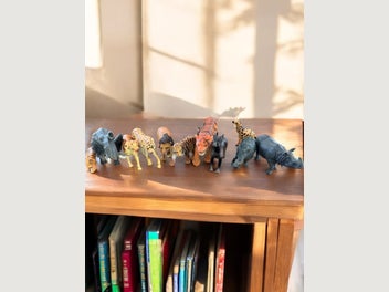 Image 1 of 4