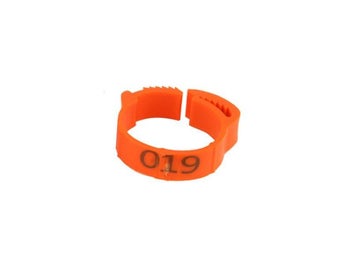 Image 1 of 10